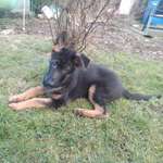 Ersteller:in San Profilbild