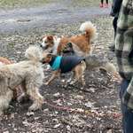 Verhalten (war: Mobbing) in der Gruppe-Beitrag-Bild