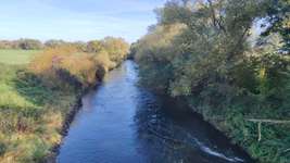 Hundeauslaufgebiet-Leine Feldwege und Wiese-Bild
