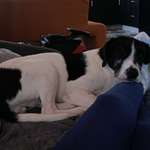 Ersteller:in sabine Profilbild