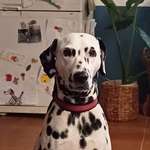 Ersteller:in Nathalie Profilbild