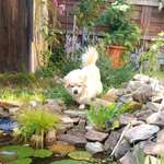 Ersteller:in Diana Profilbild