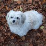 Ersteller:in Renate Profilbild