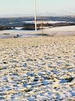 Hundeauslaufgebiet-Wahlener Platte-Bild