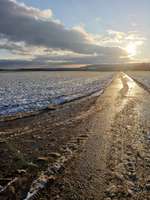 Hundeauslaufgebiet-Wahlener Platte-Bild