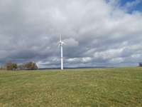 Hundeauslaufgebiet-Wahlener Platte-Bild
