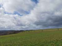 Hundeauslaufgebiet-Wahlener Platte-Bild
