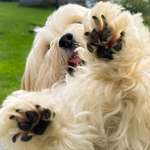 Ersteller:in Romy Profilbild