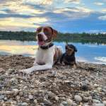 Ersteller:in Angi Profilbild