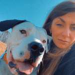 Ersteller:in Sherin Profilbild