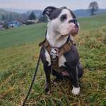 Ersteller:in Riana Profilbild