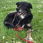 Ersteller:in Alina Profilbild