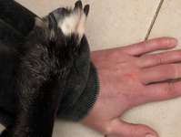 Goodbye, my fellow friend-Beitrag-Bild