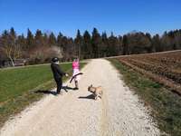 Hundeauslaufgebiet-Brainkhofen-Bild