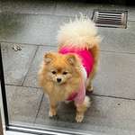 Ersteller:in Sarah Profilbild