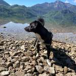 Ersteller:in Rob Profilbild