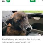Suchmeldung-Schonay-Bild