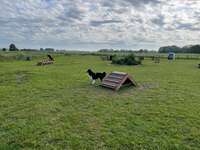 Hundeauslaufgebiet-Hundespielplatz Greetsiel-Bild