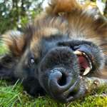 Ersteller:in Nicole Profilbild