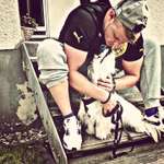 Ersteller:in Dominik Profilbild