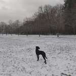 Ersteller:in Ria Profilbild