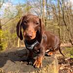 Ersteller:in Ly Profilbild