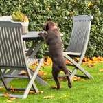 Ersteller:in Ronald Profilbild