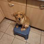 Ersteller:in Ilona Profilbild