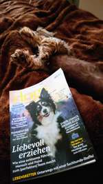 Hunde-Zeitschriften-Beitrag-Bild