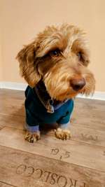 31. Farben Challenge - Petrol-Beitrag-Bild