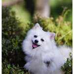 Ersteller:in Laura Profilbild