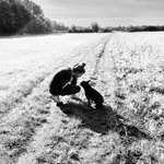 Ersteller:in Jessica Profilbild