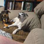 Ersteller:in Nadja Profilbild