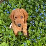 Ersteller:in Nici Profilbild