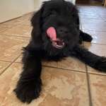 Ersteller:in Silke Profilbild