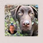 Ersteller:in Maik Profilbild