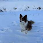 Ersteller:in Michelle Profilbild