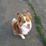 Ersteller:in Michelle Profilbild