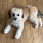 Ersteller:in Andrea Profilbild