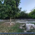 Hundeauslaufgebiet-Hundeauslauf Paunsdorf-Bild