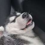 Ersteller:in Emi Profilbild