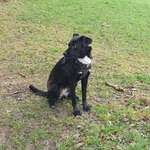 Ersteller:in Laura Profilbild