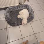 Ersteller:in Pascal Profilbild