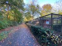 Hundeauslaufgebiet-Vogelpark-Bild