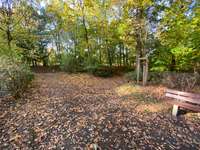 Hundeauslaufgebiet-Vogelpark-Bild