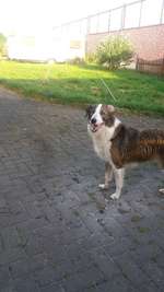 Ersteller:in Katharina Profilbild