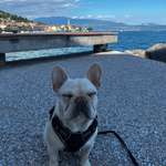 Ersteller:in Marie Profilbild