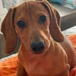 Ersteller:in Andrea Profilbild