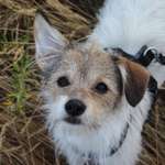 Ersteller:in Jolina Profilbild