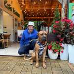 Ersteller:in Stefan Profilbild